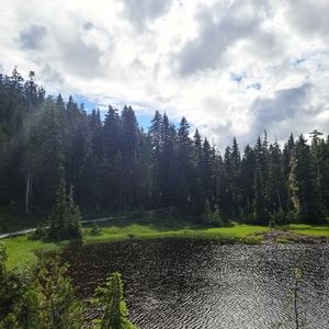 Meet your Posher, Tyra